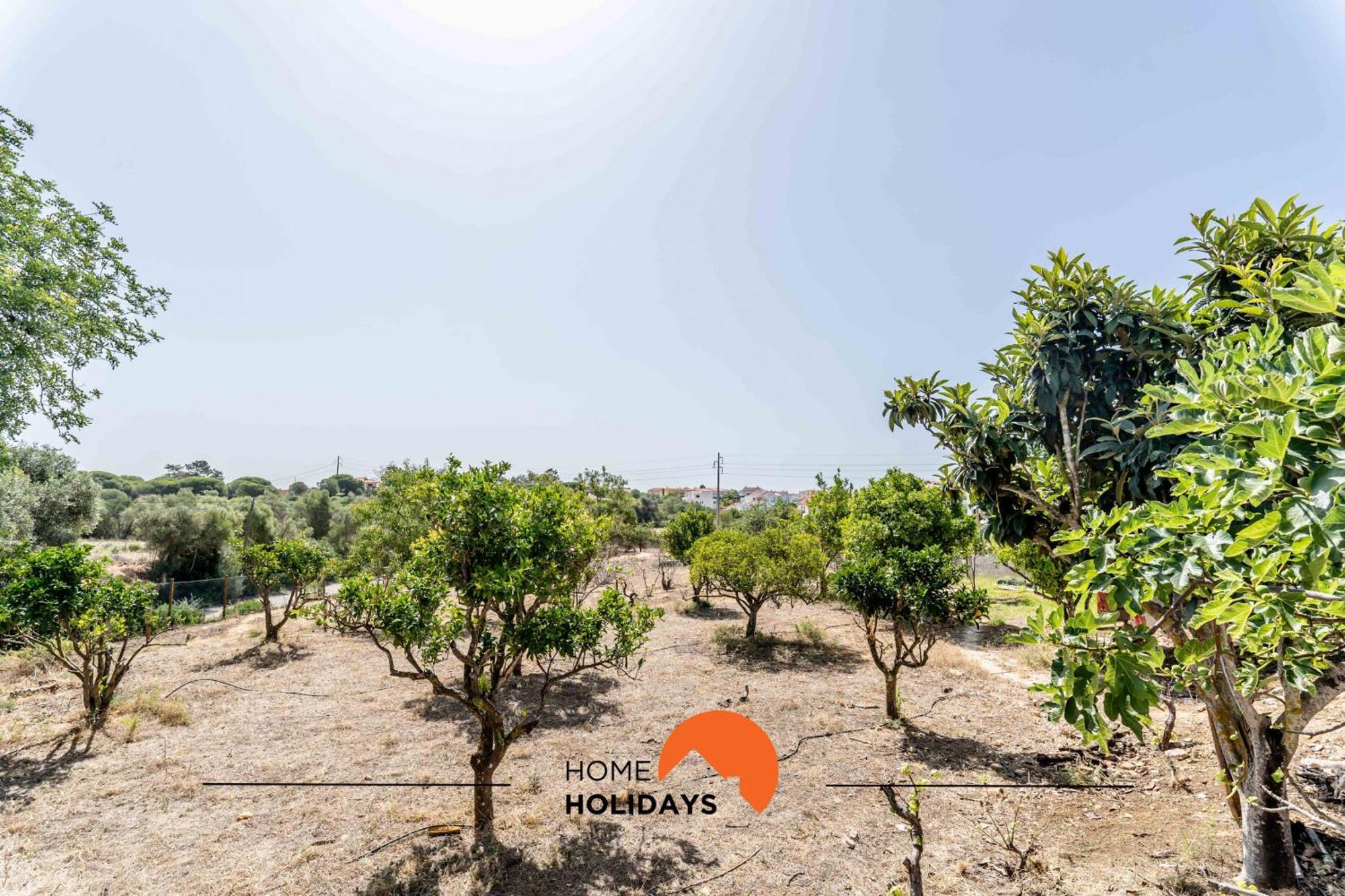#178 Monte Das Churras 1 By Home Holidays 阿尔布费拉 外观 照片